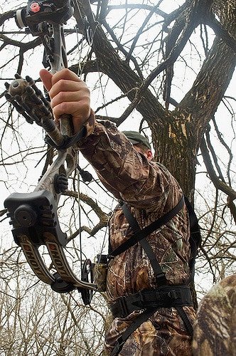 Where To Shoot A Deer With A Bow 