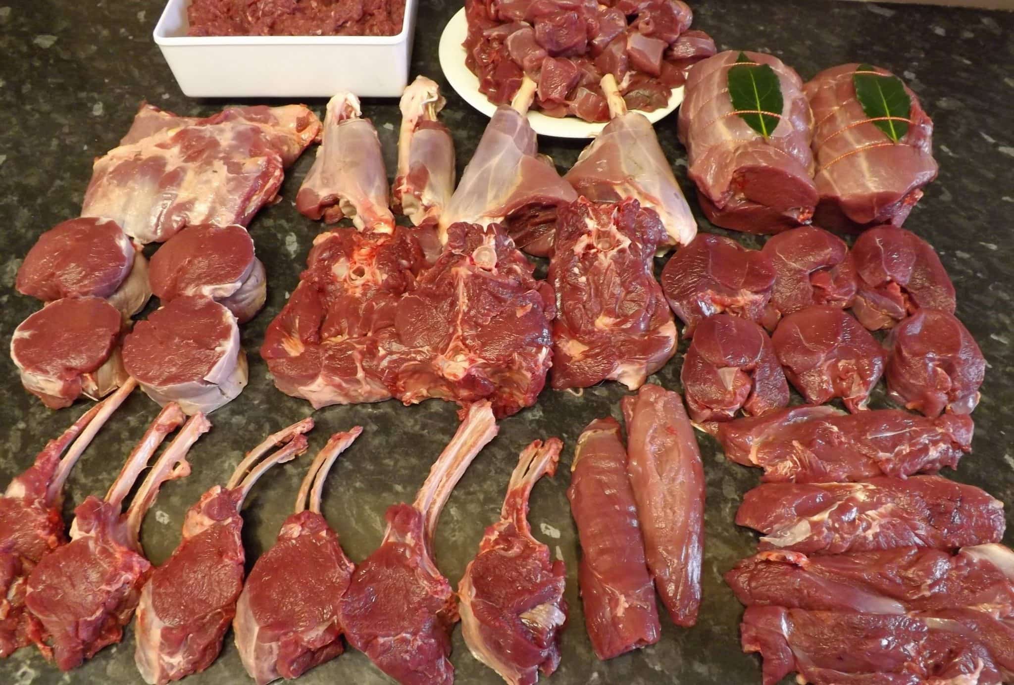 How Much Meat From A Deer