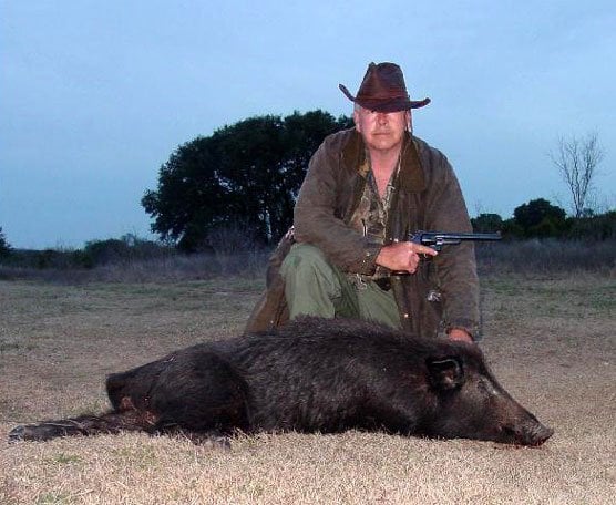 where to shoot a feral hog