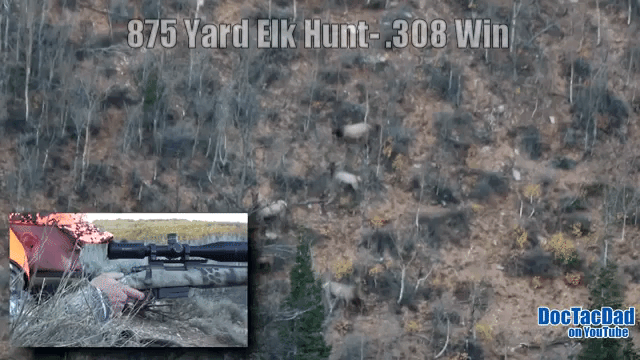 Best Scope For 308 Rifles