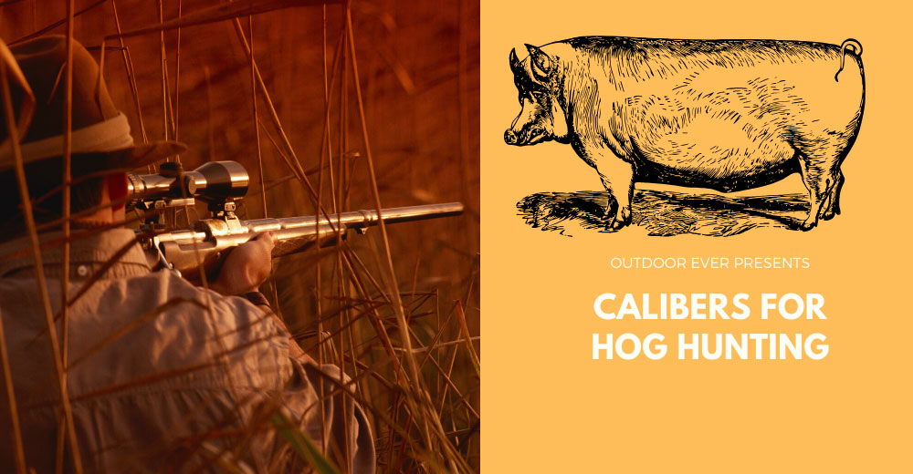 best caliber for hog hunting