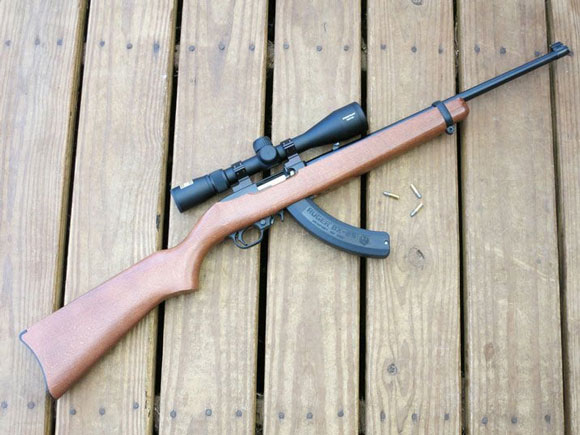 How To Buy A Ruger 10 22 Takedown Scopes