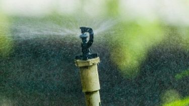 Use a motion-activated sprinkler system