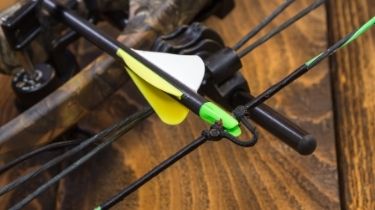 consider peep sight of compound bow under 500 dollars