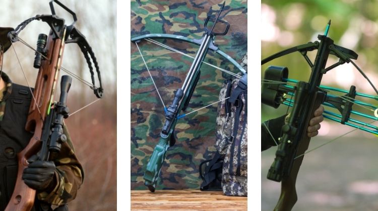 types of crossbow you can find under 200 dollars