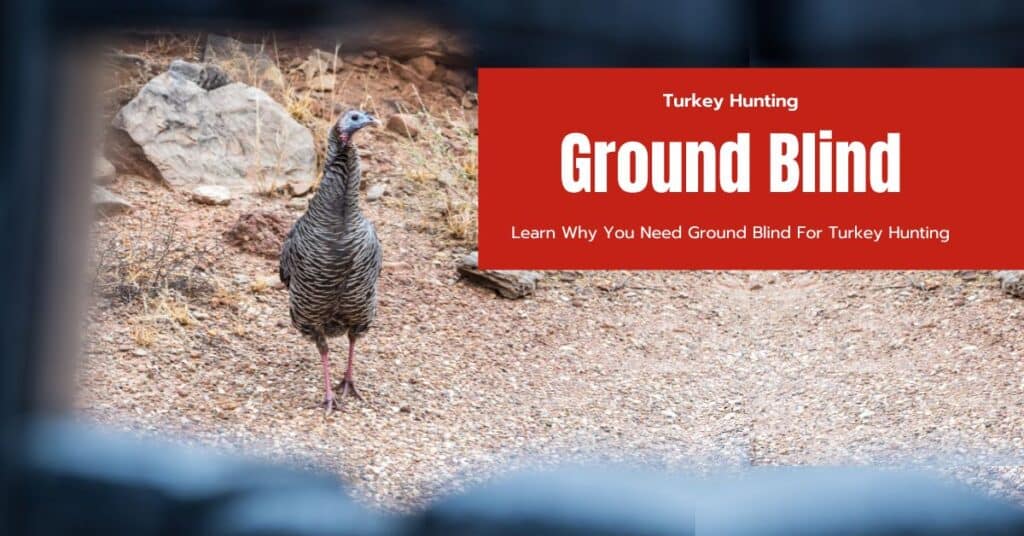 Best Ground Blinds For Turkey Hunting