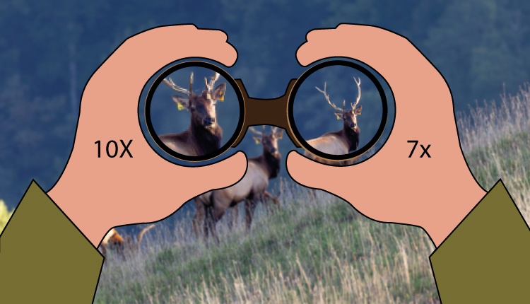 hunting binoculars magnification explanation