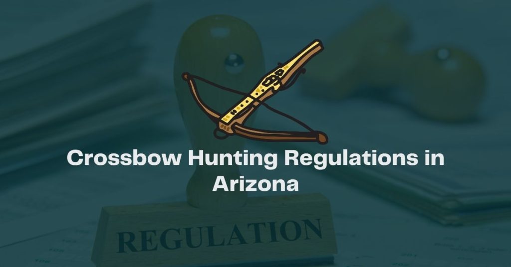 Arizona Crossbow Hunting Regulations