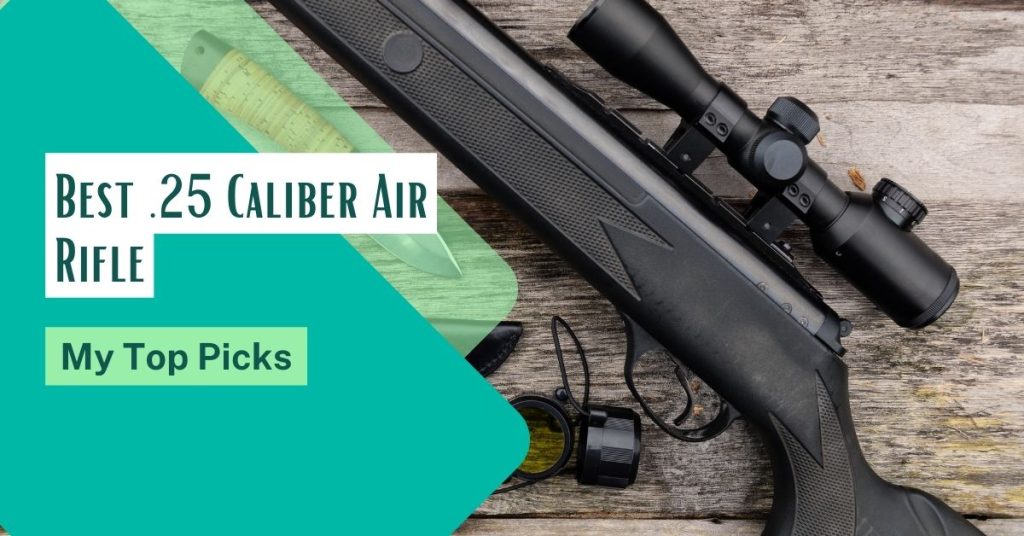 Best .25 Caliber Air Rifle for hunting and target shooting