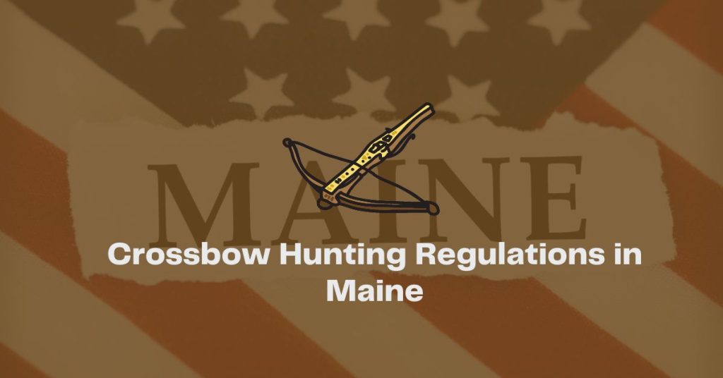 Crossbow Hunting Laws and Regulations In Maine