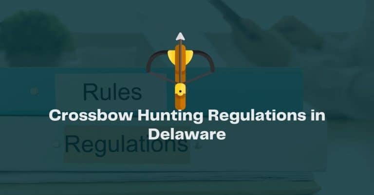 Crossbow Hunting Regulations in Delaware