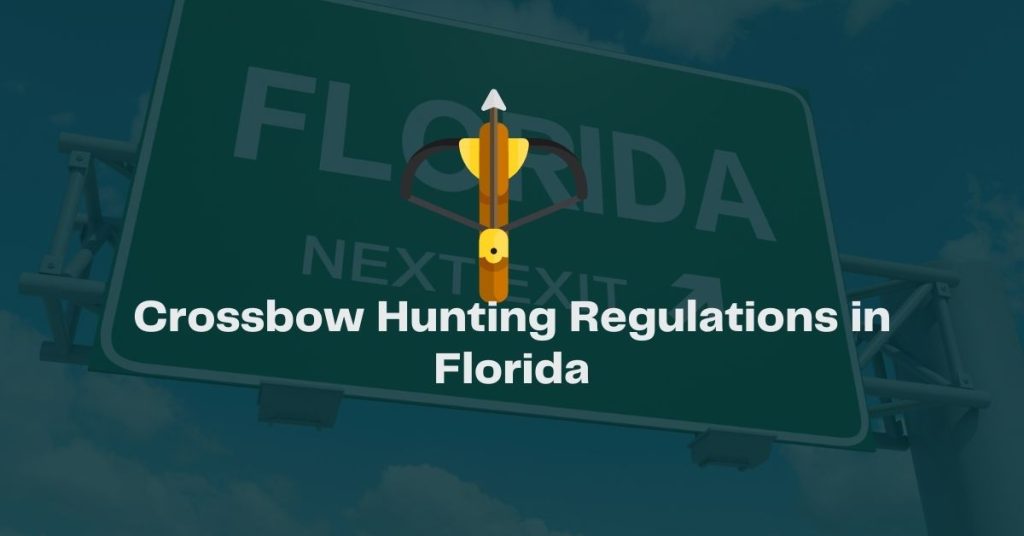 Crossbow Hunting Regulations in Florida