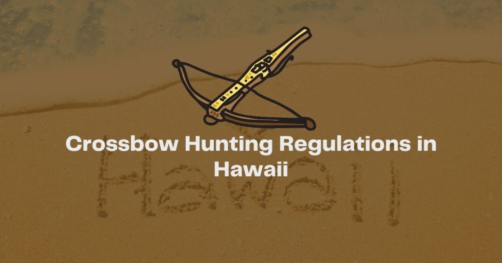 Crossbow Hunting Regulations in Hawaii