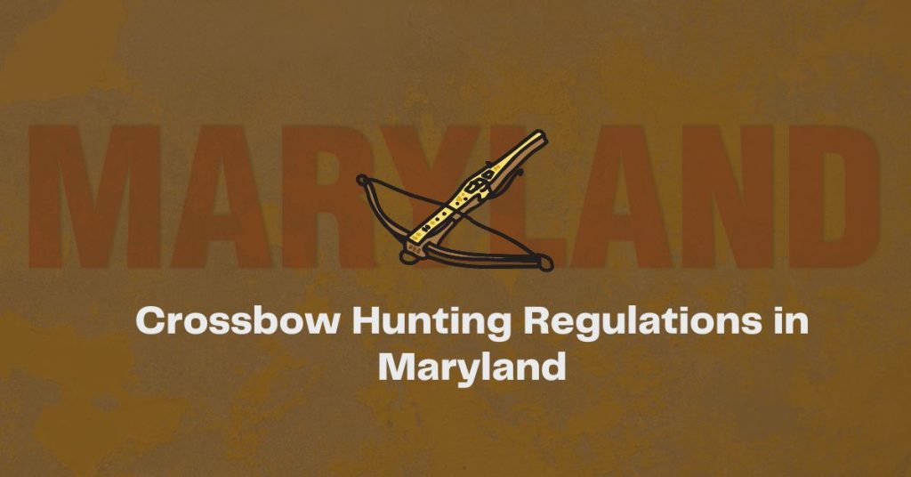 Crossbow Hunting Regulations in Maryland