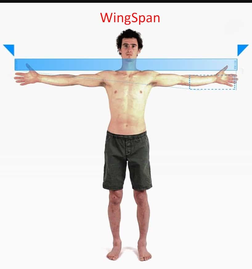 Calculate Bow Draw length By wingspan